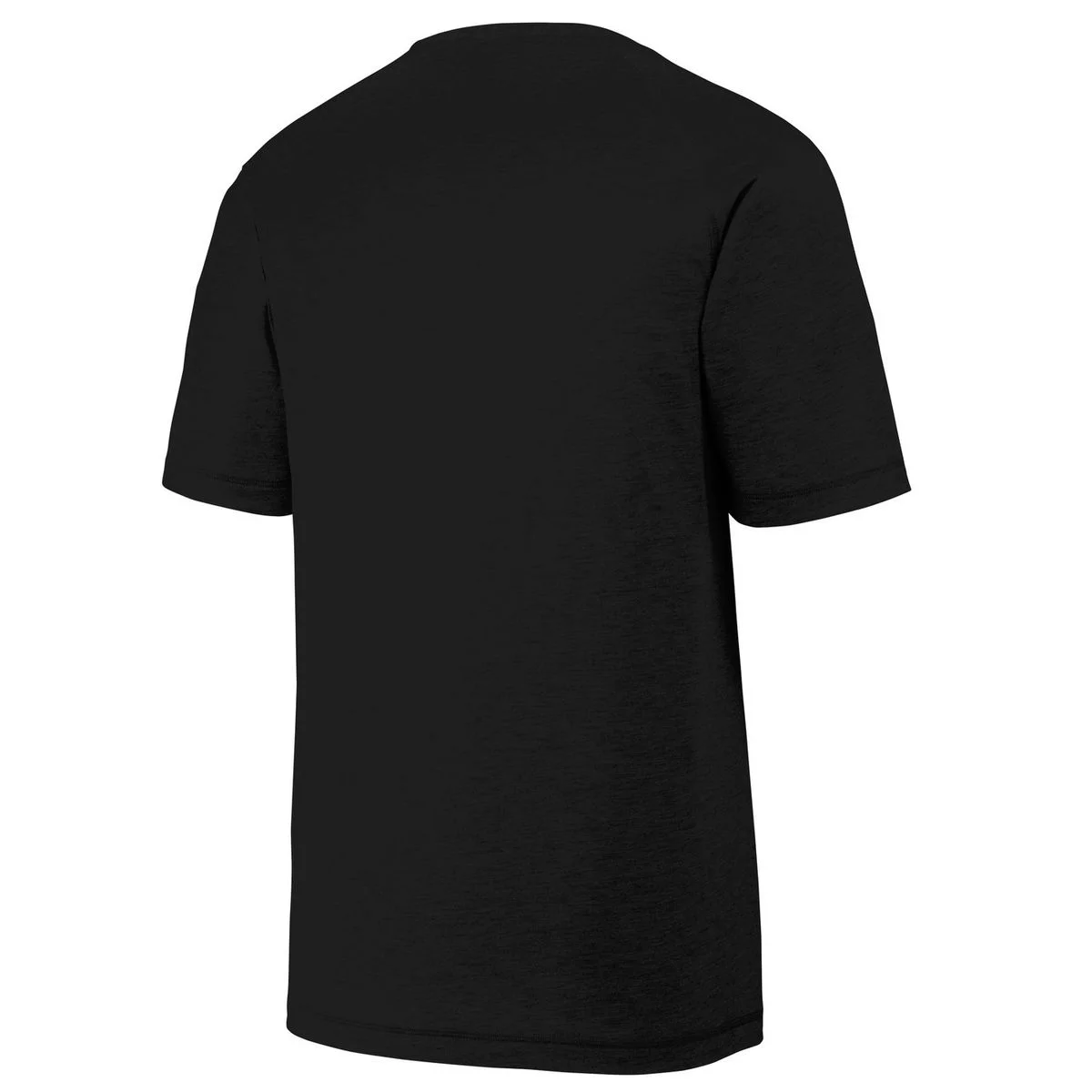 Create Your Own Custom PosiCharge Tri-Blend Wicking Raglan T-Shirt - Back 1