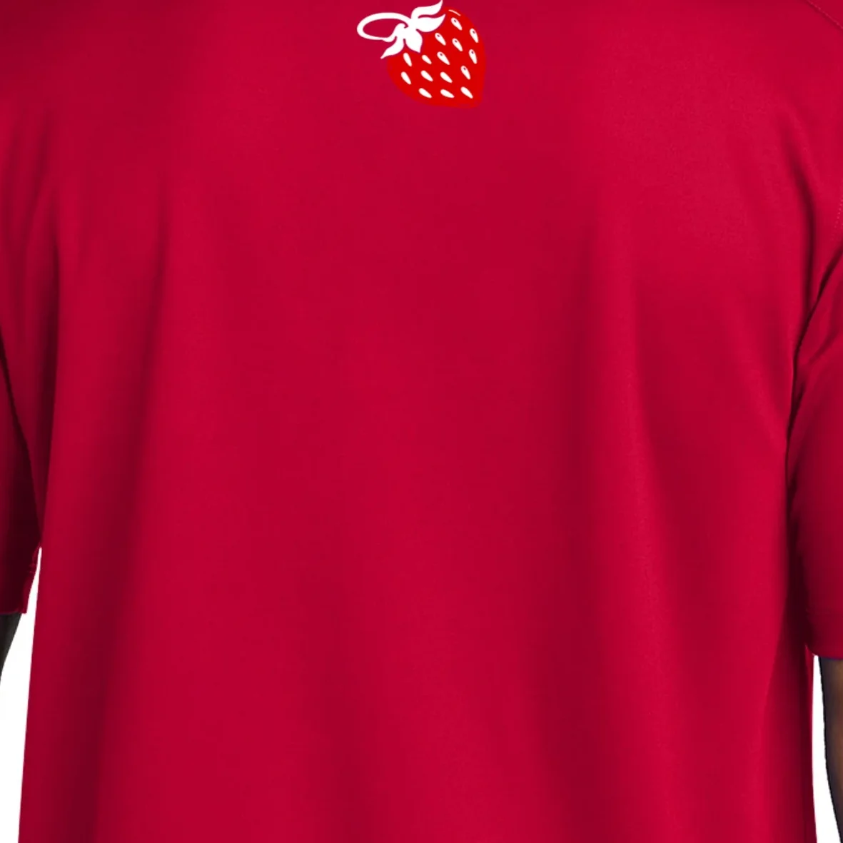 Nino Salvaggio Embroidered UV Micropique Polo - Back - Close-up