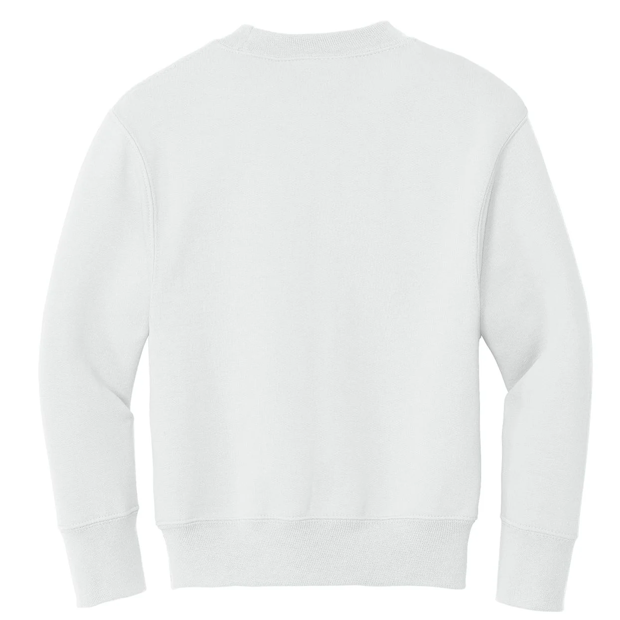 Family Reunion Personalized Camping Last Name and Location Kids Sweatshirt - Back