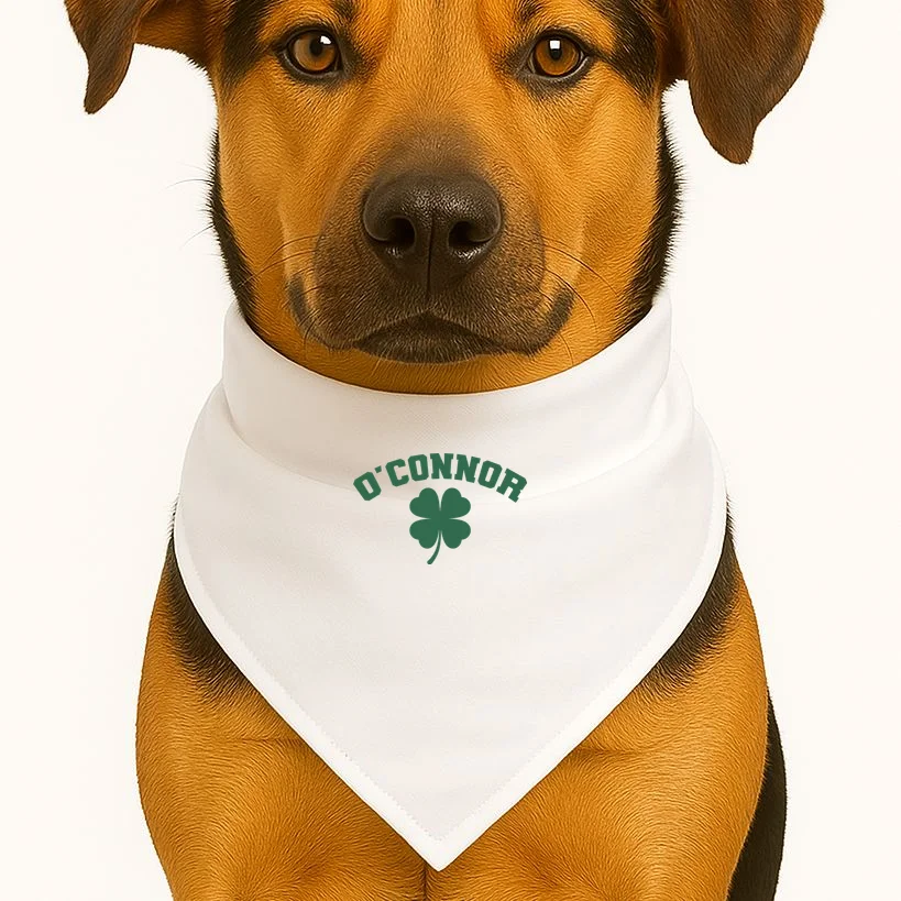 Cute Custom Name St Patricks Day Clover Dog Bandana - Front 1