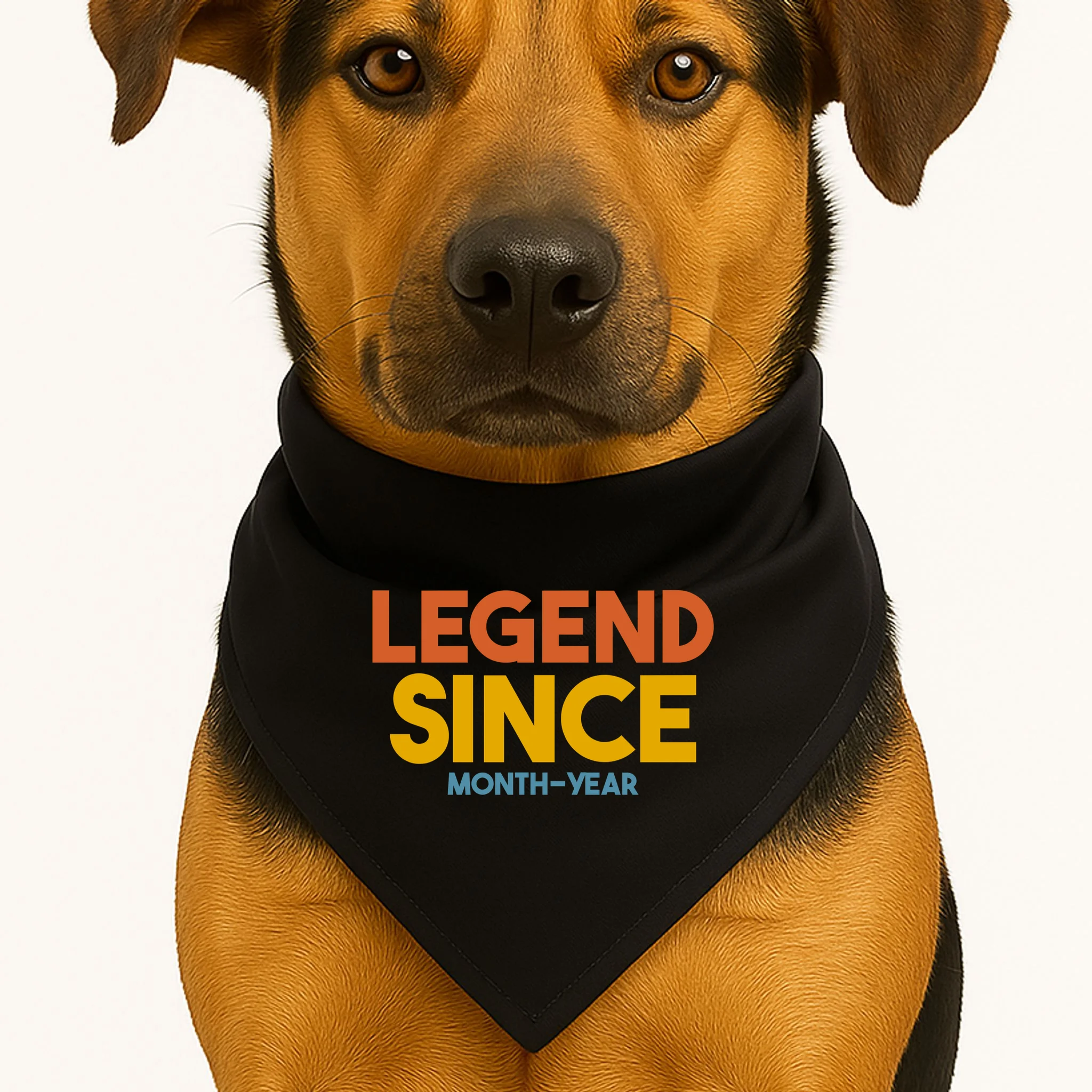 Legendary Since Custom Birthday Date Text Dog Bandana - Front 1