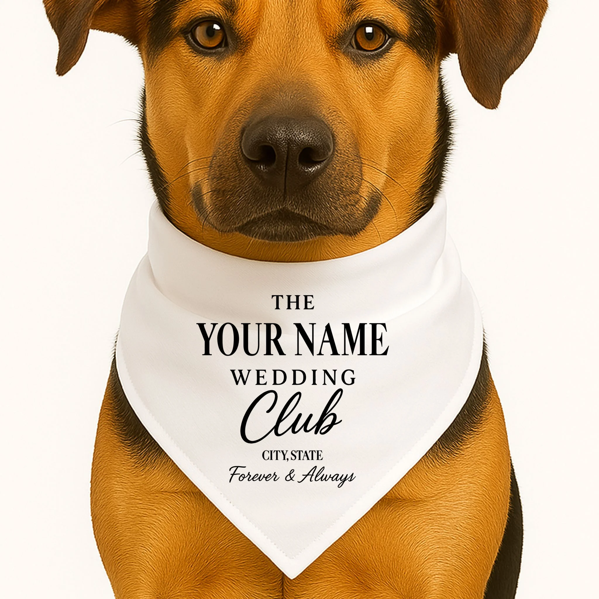 Custom Name Wedding Club Retro Couples Dog Bandana - Front 1