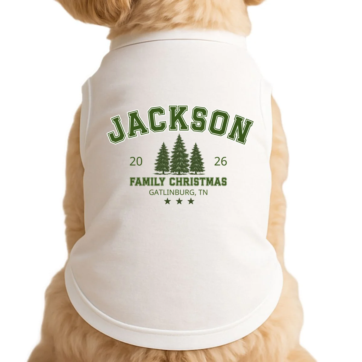 Custom Personalized Family Christmas Name Doggie Tank - Front