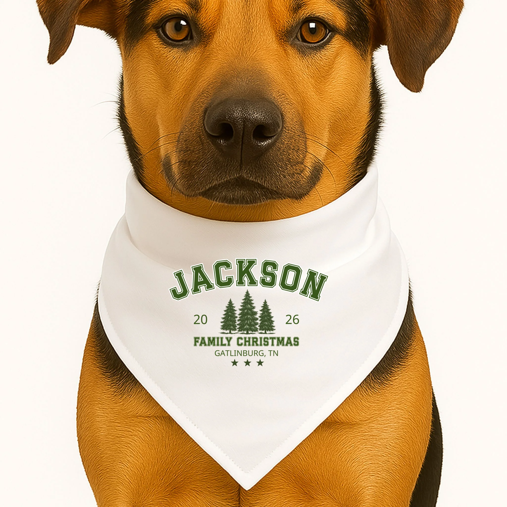 Custom Personalized Family Christmas Name Dog Bandana - Front 1