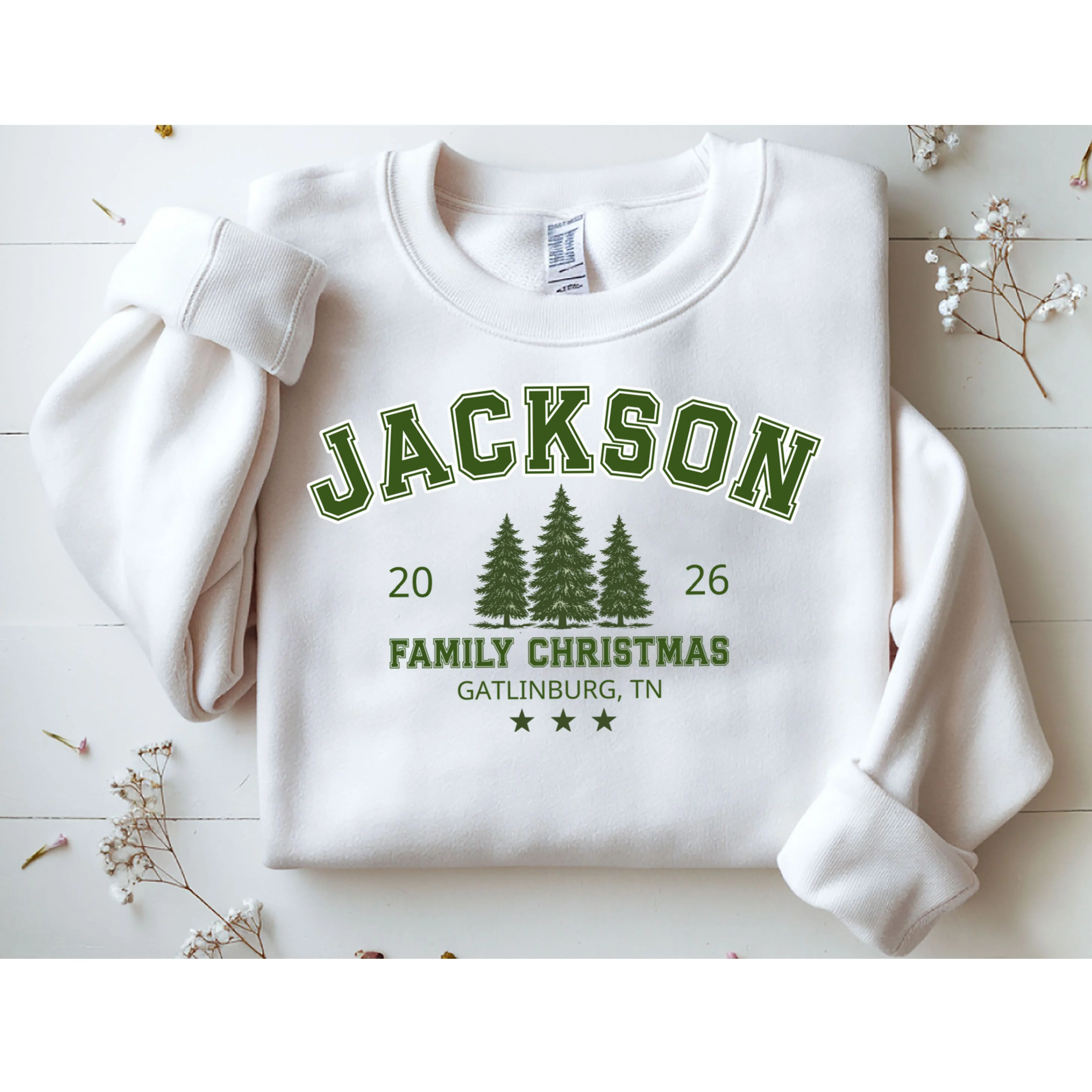 Custom Personalized Family Christmas Name Men's Sweatshirt - Front 1