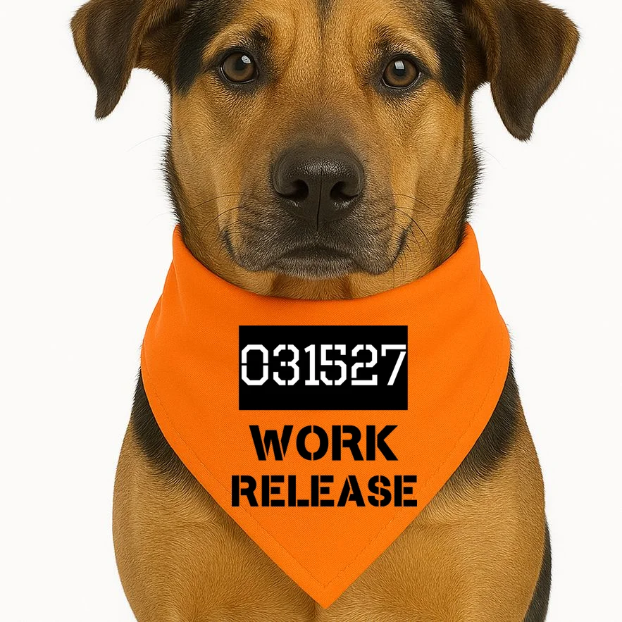 Custom Retirement Date Prisoner Work Release Jail Personalized Dog Bandana - Front 1