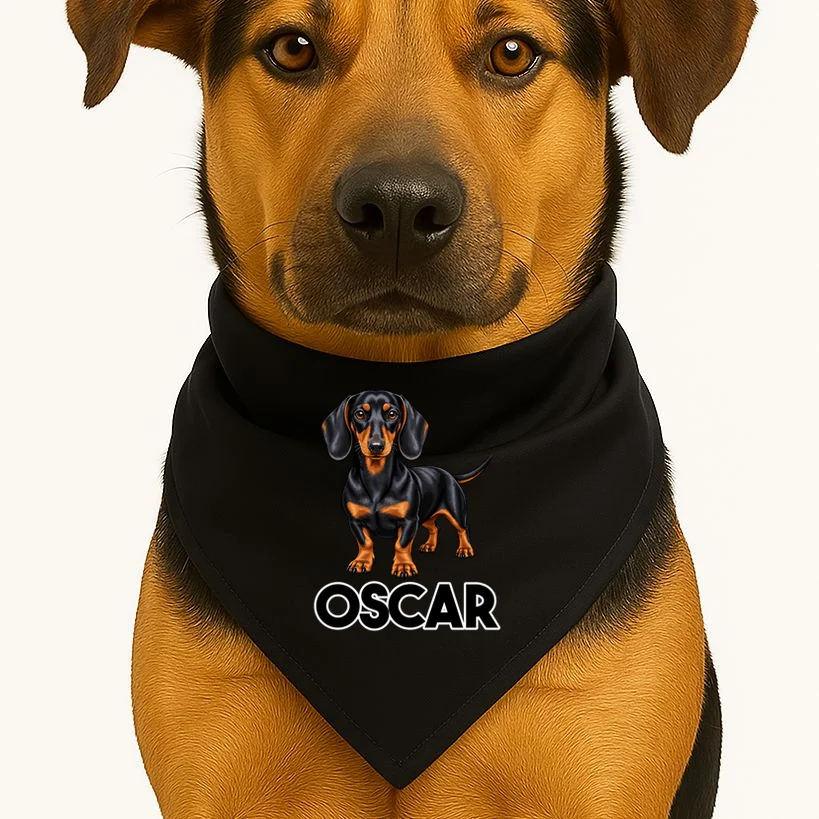 Dachshund Personalized Pet Name Dog Dog Bandana - Front 1