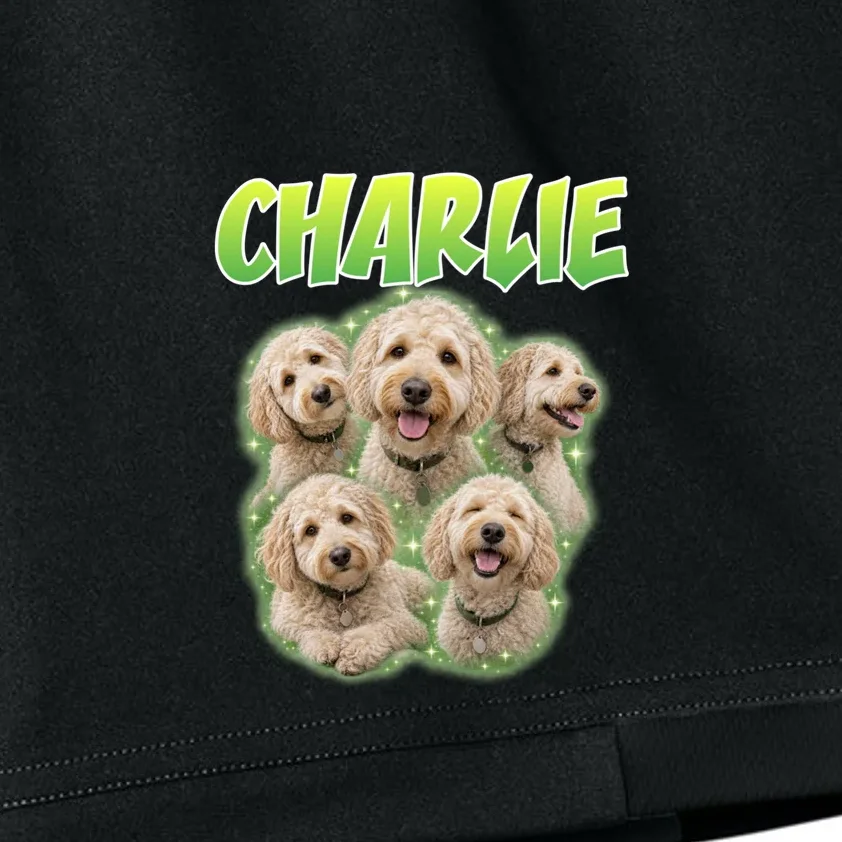 Dog Portrait Personalized Photo Custom Gift - Dog Lover Gift For Pet Owners Kids Shorts - Front - Close-up