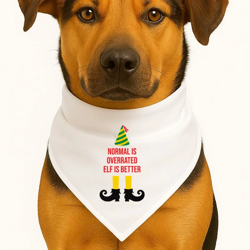 Elf Legs Funny Christmas Quote Matching Family Dog Bandana - Front 1