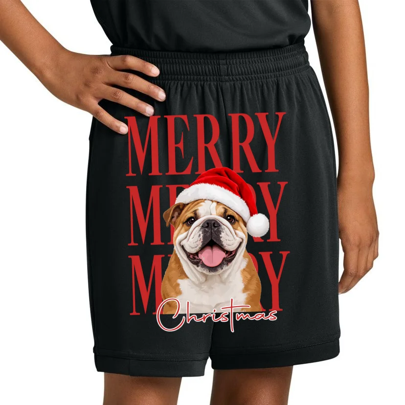 Merry Christmas Dog Personalized Photo Custom Gift - Christmas Pet Portrait Santa Hat Kids Shorts - Front 1