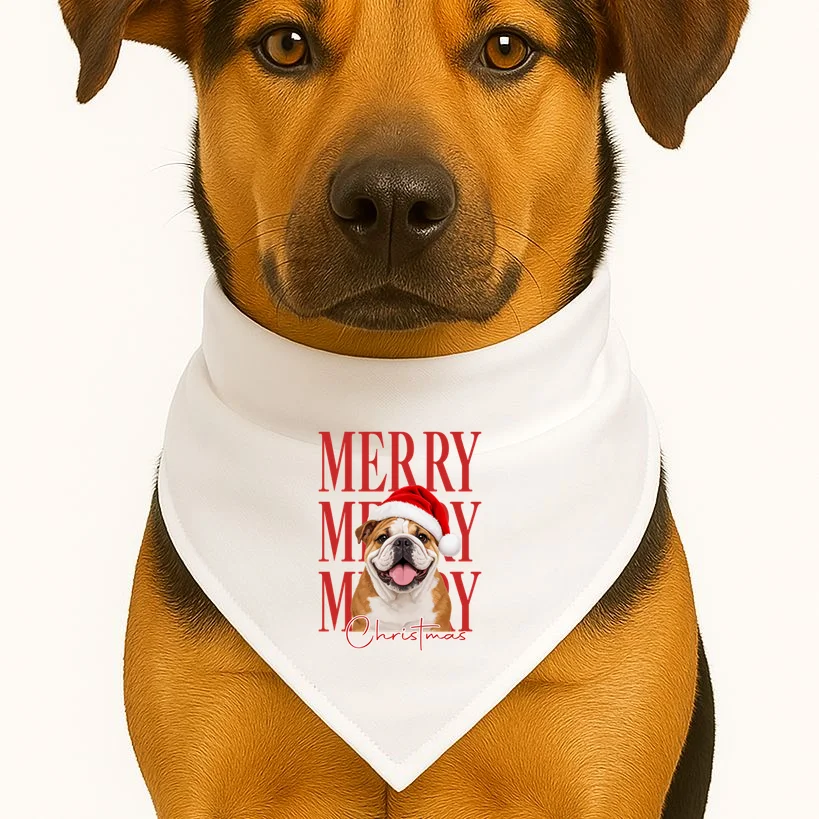 Merry Christmas Dog Personalized Photo Custom Gift - Christmas Pet Portrait Santa Hat Dog Bandana - Front 1