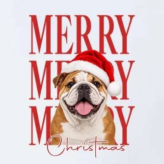 Merry Christmas Dog Personalized Photo Custom Gift - Christmas Pet Portrait Santa Hat Men's Polo - Front - Close-up