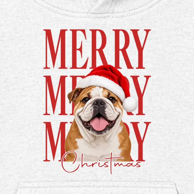 Merry Christmas Dog Personalized Photo Custom Gift - Christmas Pet Portrait Santa Hat Kids Hoodie - Front - Close-up