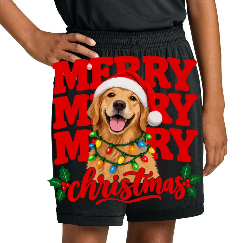 Merry Merry Christmas Dog – Santa Hat Holiday Design Kids Shorts - Front 1