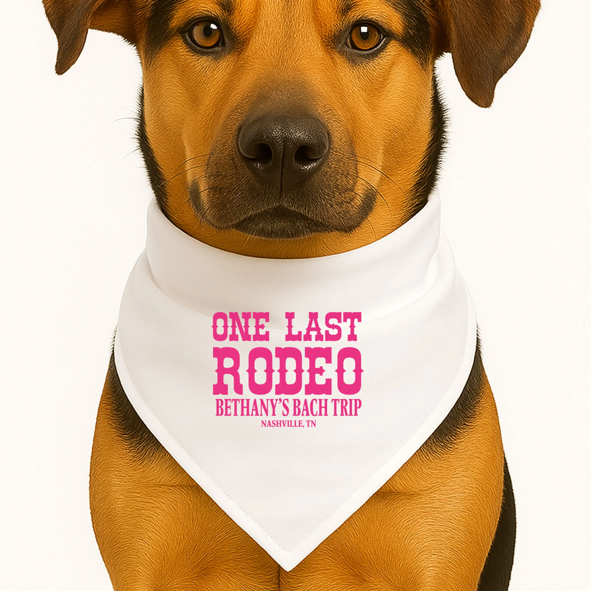 ONE LAST RODEO Bach Trip Nashville Customizable Dog Bandana - Front 1