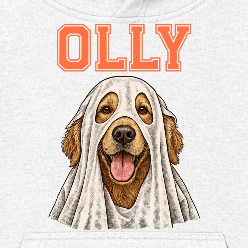 Custom Halloween Ghost Pet Portrait with Name – Personalized Spooky Dog & Cat Kids Hoodie - Front - Close-up